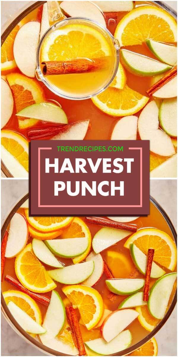 Harvest Punch – Pin Healthy Recipes
